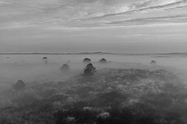 vlieland eine Nebelbedeckung von hein van houten