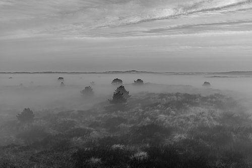vlieland une nappe de brouillard