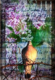 carpe diem by Anette Jäger