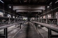 Industry