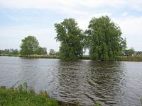 Bomen aan het water