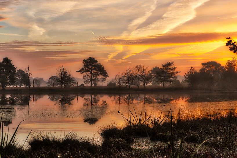 Ochtendgloren aan de Leersumse plassen by Karel Warburg