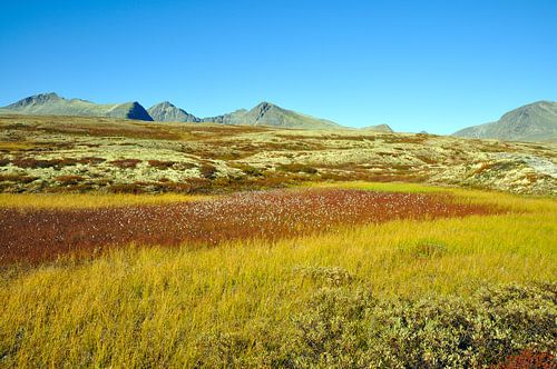Rondane Nationaal Park