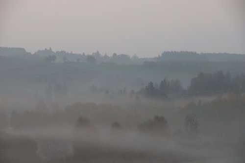 Mistig Ardennen