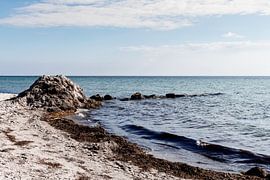 Fehmarn by Lisa Scheffler