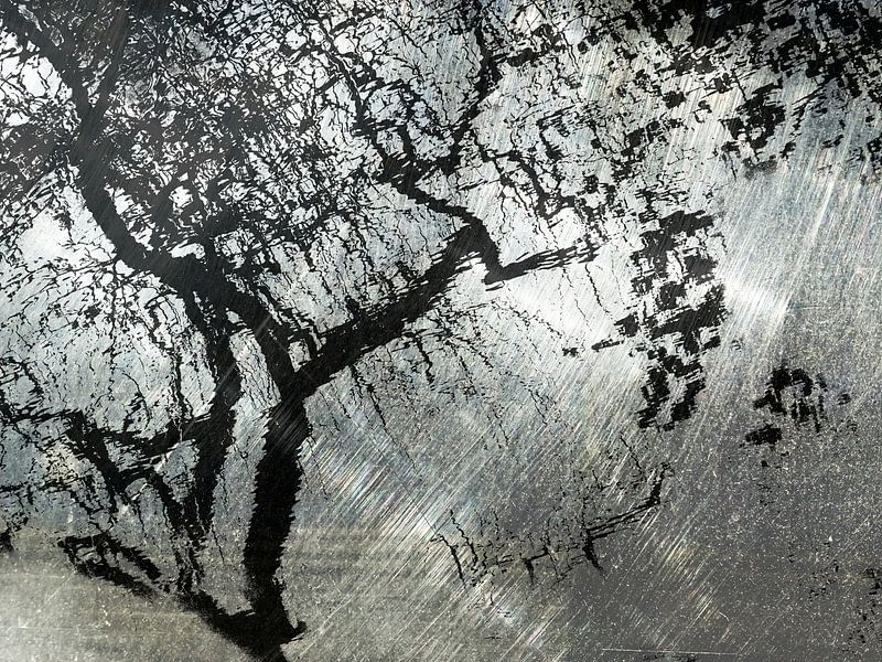 Tree Magic 148-B von MoArt (Maurice Heuts)