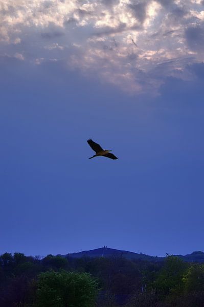 Vue à distance par Edgar Schermaul