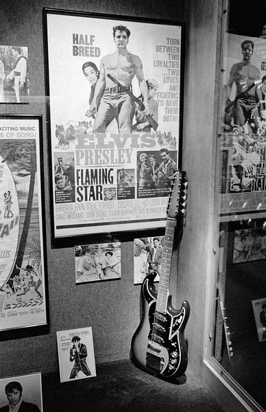 Elvis Presley Flaming Star par Raoul Suermondt