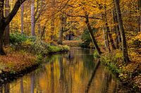 Landgoed Elswout