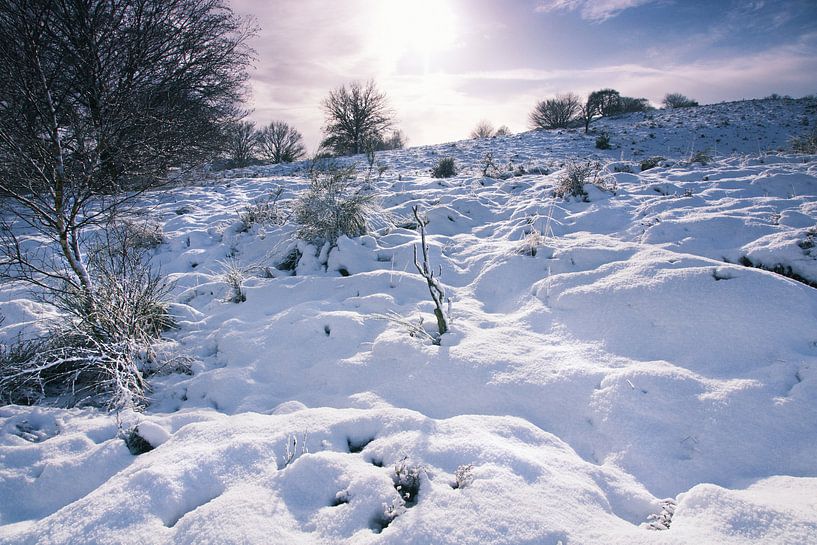 Winterlandscape 2 by Martijn van Huffelen