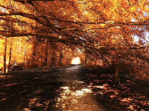 Licht aan het eind van de tunnel van goud