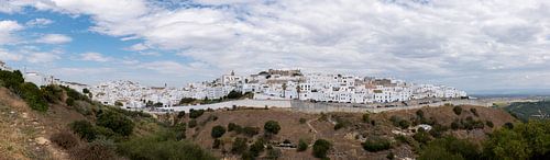 Vejer de la Frontera (panorama)
