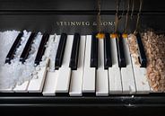 Piano dolce by Olaf Bruhn thumbnail