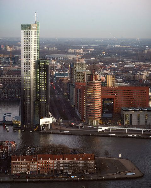 Discover the beauty of Rotterdam in one photo by Roy Poots