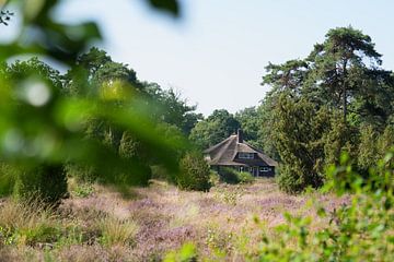 La bruyère et la splendeur de l'architecture et de la nature hollandaises
