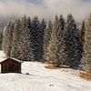 Grange de montagne en bois dans la lumière d'hiver - Repos parmi les sapins sur KB Design & Photography (Karen Brouwer)