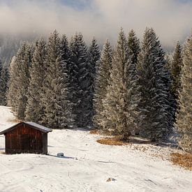 Wooden mountain barn in winter light - Rest among the firs by KB Design & Photography (Karen Brouwer)