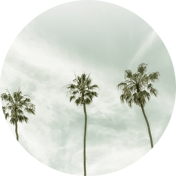 Vintage palmidylle | Panorama van Melanie Viola