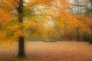 Herfstbos Leersum van Mieke Geurts-Korsten