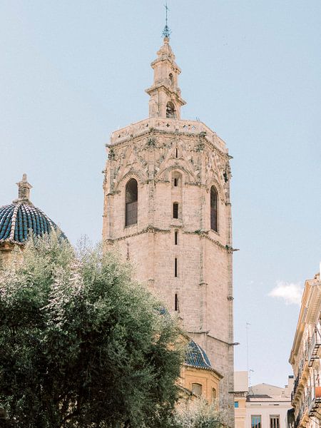 Faschinerende kerk in Valencia, Spanje van Youri Claessens