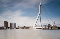 Erasmus bridge von Menno Schaefer Miniaturansicht