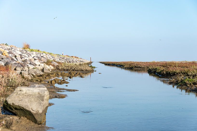 Waterloop langs dijk van Marian Waanders