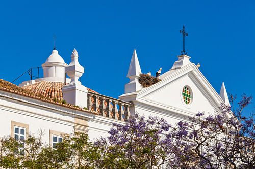 Storks at the Misericordia Church in Faro, Algarve – Portugal by Werner Dieterich