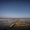 Uithuizer Wad, Groningue (5) sur Bo Scheeringa Photography