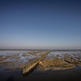 Uithuizer Wad, Groninger (5) von Bo Scheeringa Photography