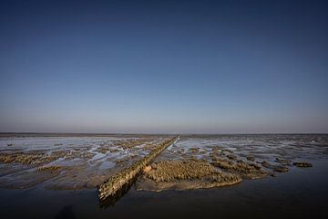 Uithuizer Wad, Groninger (5) von Bo Scheeringa Photography