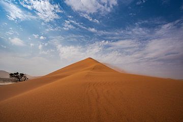 Sanddüne in der Namib-Wüste von Namibia, Afrika von Patrick Groß