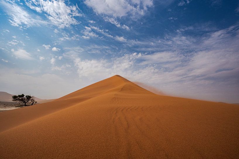Sand dune in the Namib Desert of Namibia, Africa by Patrick Groß