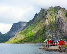 Sonnenstrahl von Gisela Scheffbuch