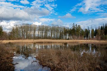 Reflection II van Johan Mooibroek