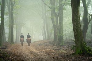 La balade du dimanche matin..... sur Peter Korevaar