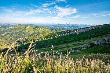 Alpes d'Allgäu depuis le Hochgrat sur Leo Schindzielorz