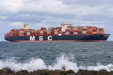 MSC Reef containerschip. van Jaap van den Berg