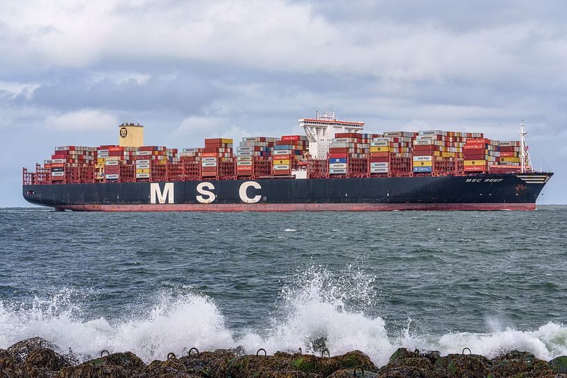 MSC Reef container ship. by Jaap van den Berg