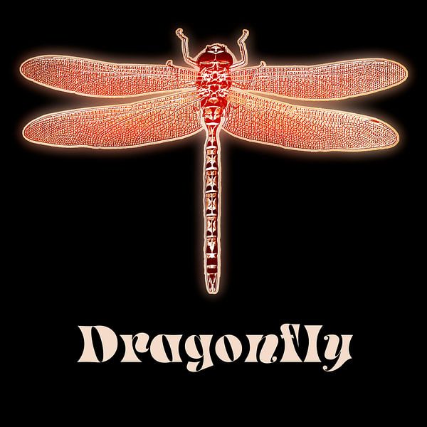 Dragonfly von Leopold Brix