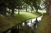 Grasland in Twisk, Westfriesland van Kees van Dun thumbnail