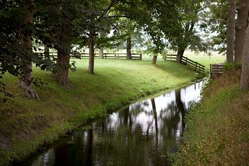 Grasland in Twisk, Westfriesland van Kees van Dun