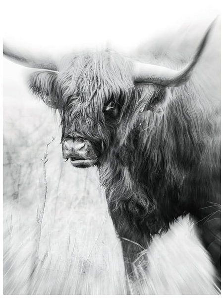 Highlander in Schwarz und Weiß von Mario Dekker-Janssen