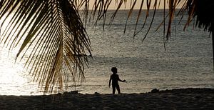 Zonsondergang - Curacao