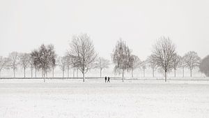 Niederländische Winterlandschaft #2