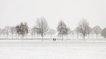 Paysage d'hiver hollandais #2