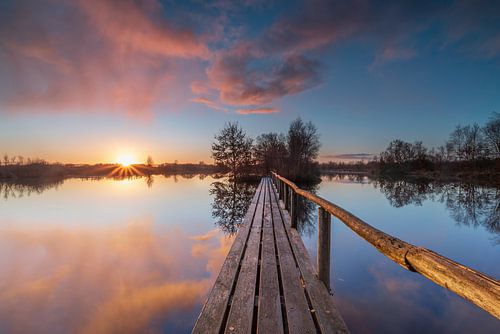 Bridge Nature Reserve De Deelen