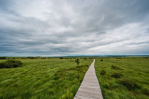 Vlonderpad Hoge Venen