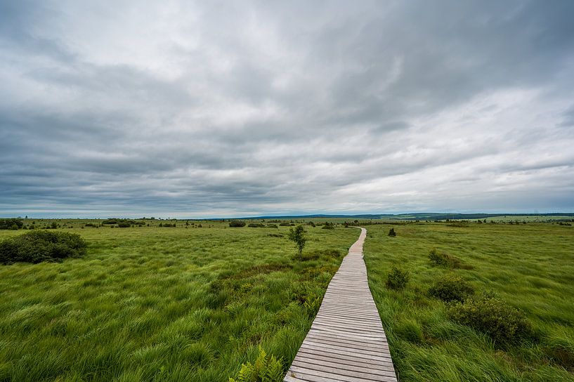 Aisle High Fens by Peter Deschepper