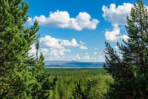 Blick auf den Fluß Jakobselva in Norwegen