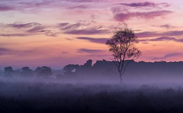 Strabrechtse Heide 186